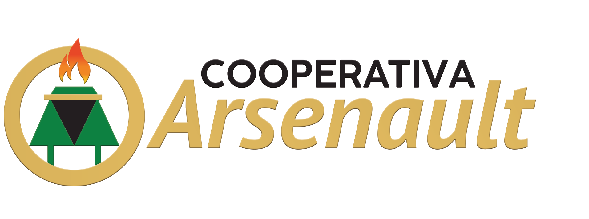 COOPERATIVA DE AHORRO Y CREDITO PADRE GUILLERMO ARSENAULT LIMITADA